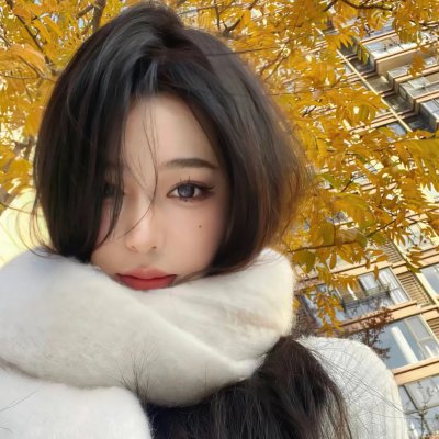 纽约提喻法